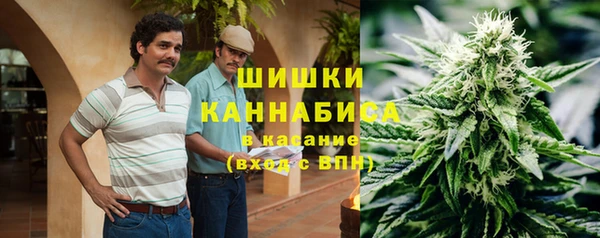 spice Арсеньев